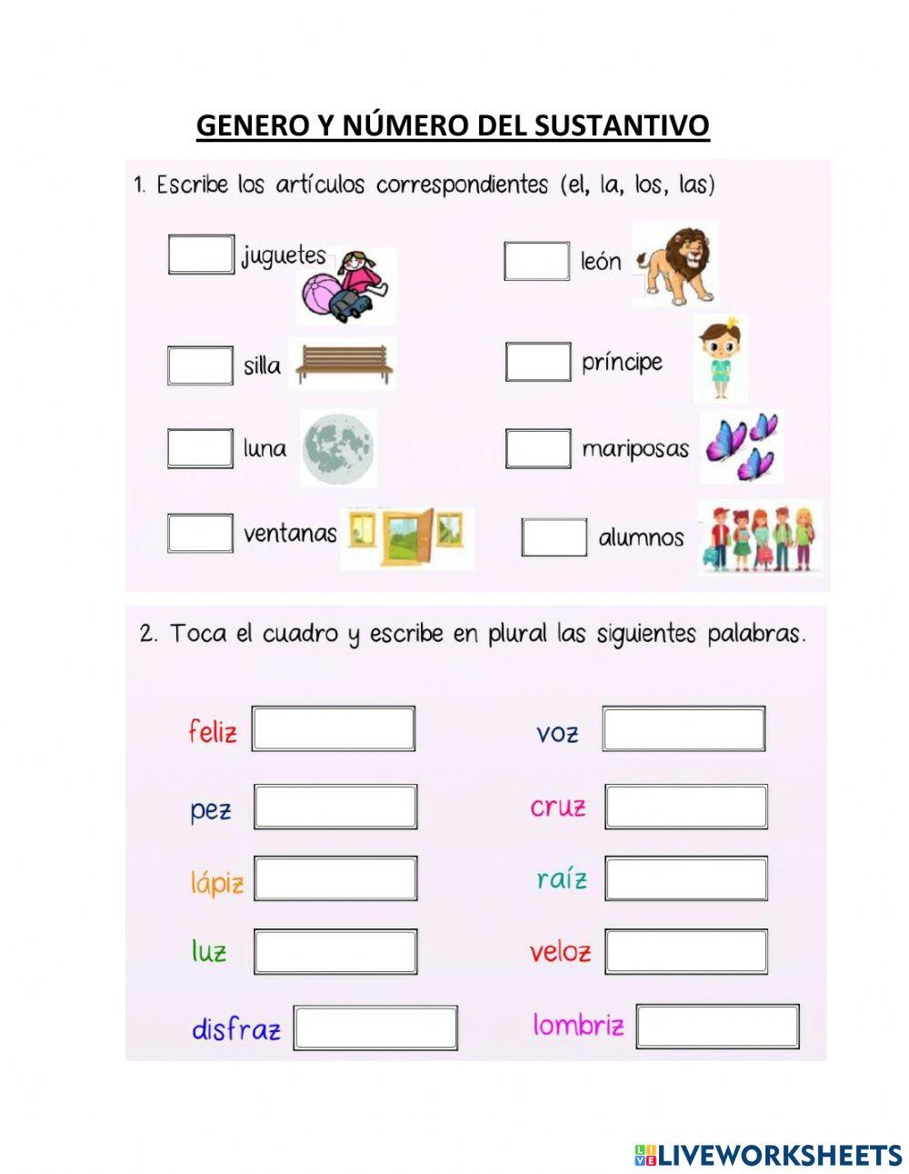 Genero y numero de sustantivo