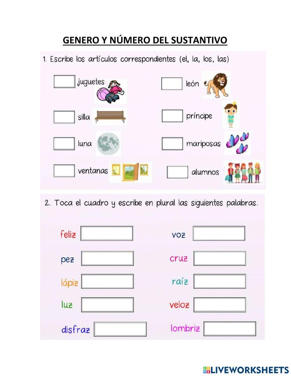 Genero y número del sustantivo