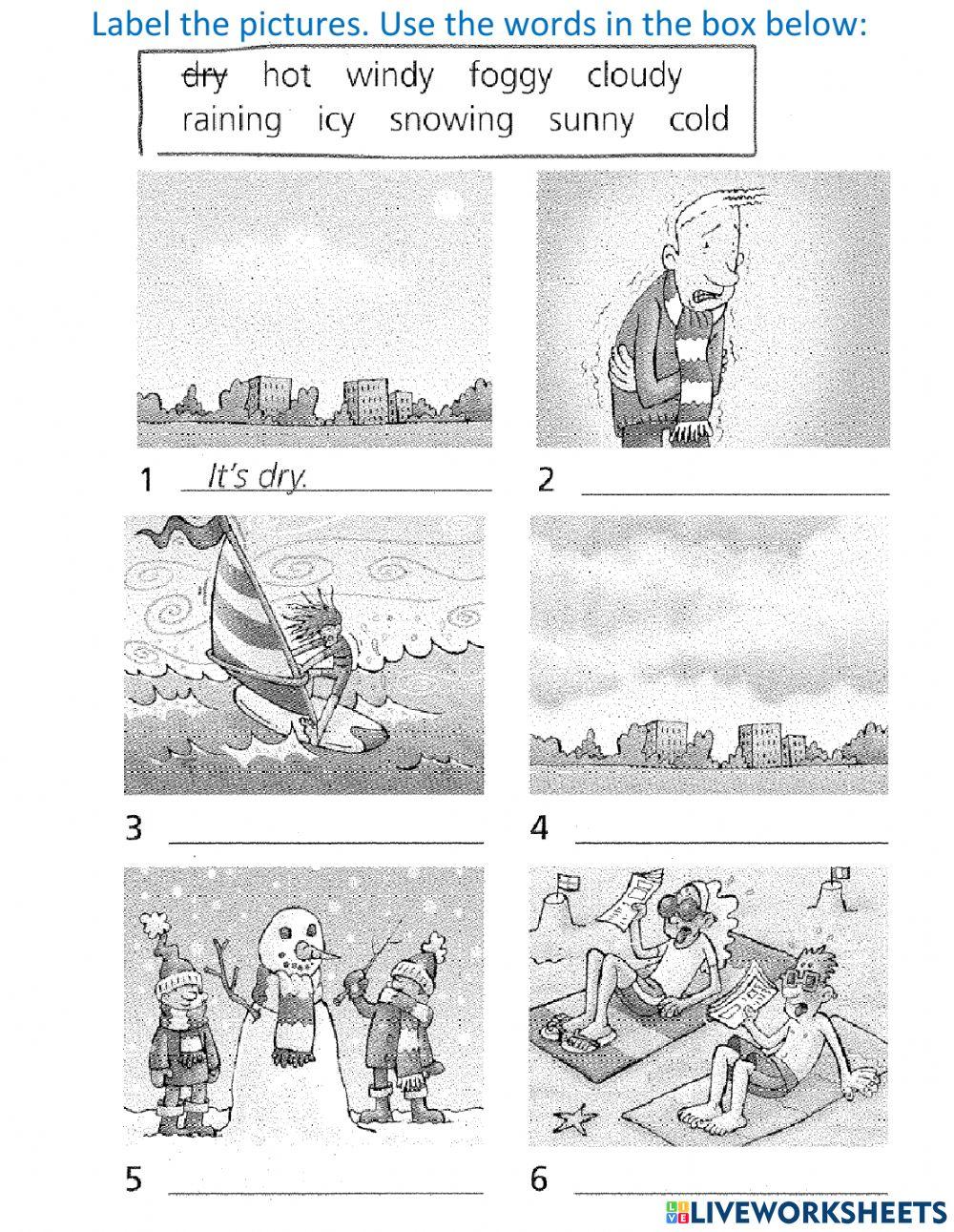 What's the weather like?