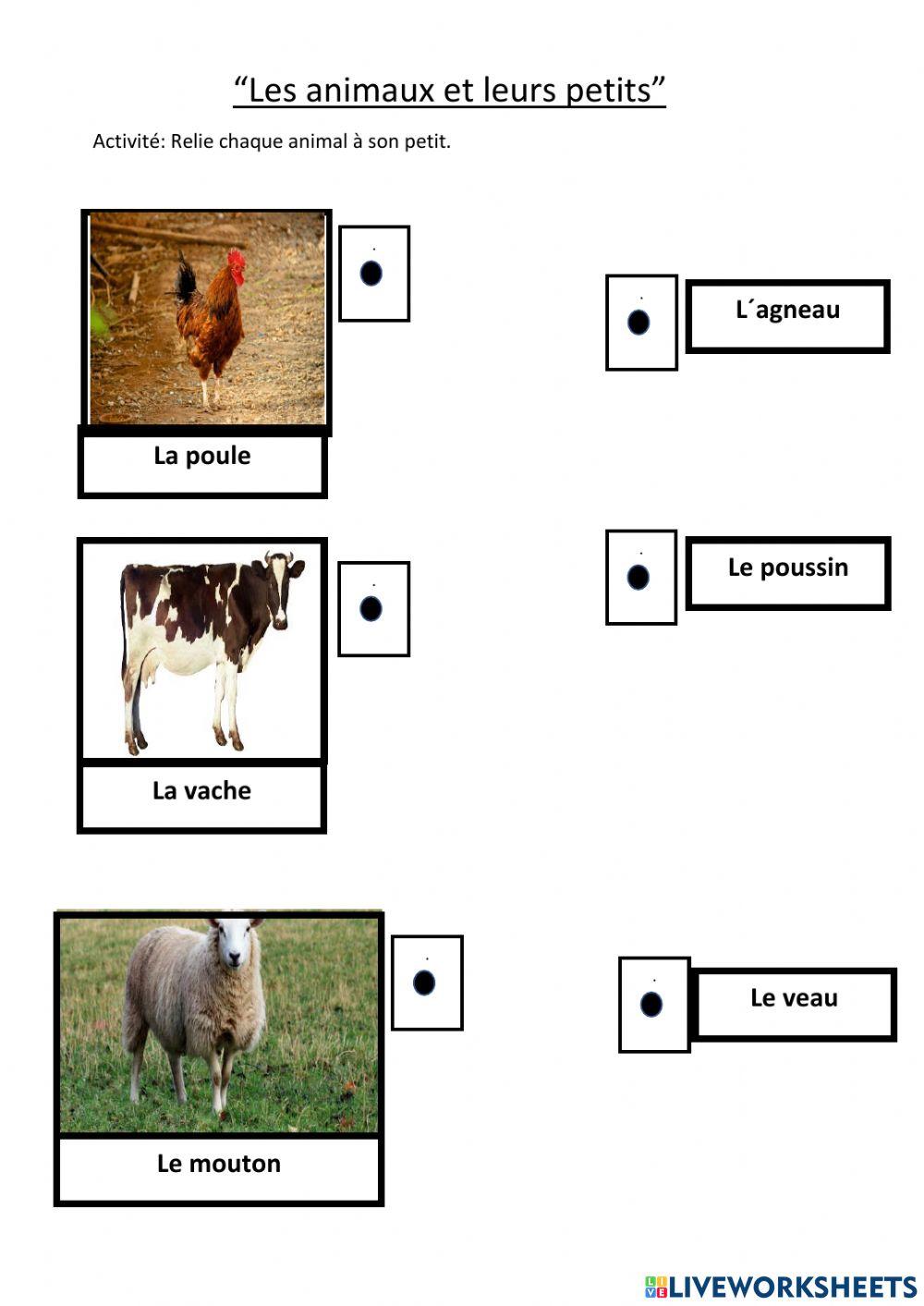 Les animaux et leurs petits