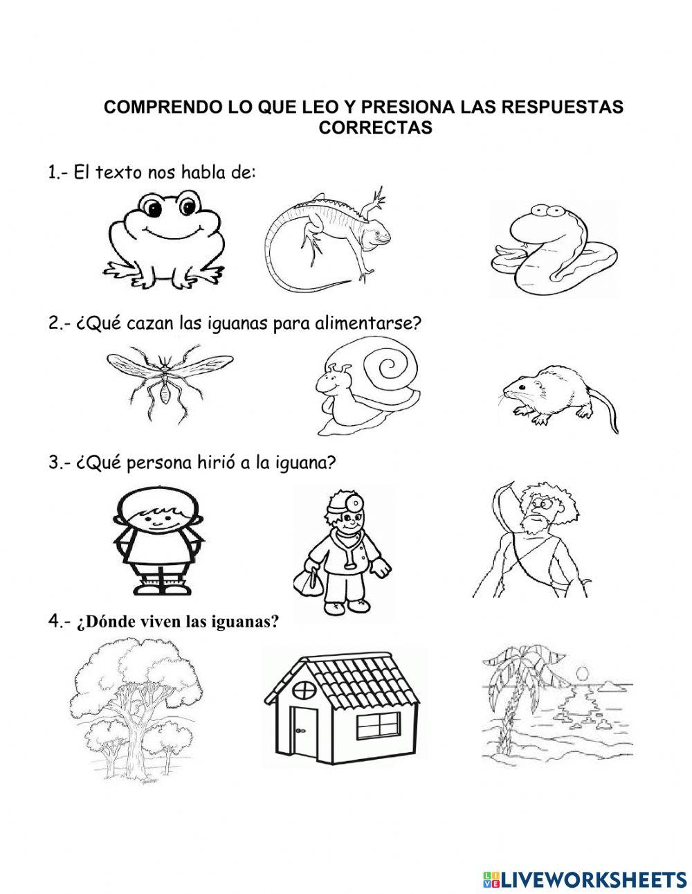 Comprensión la iguana Ines