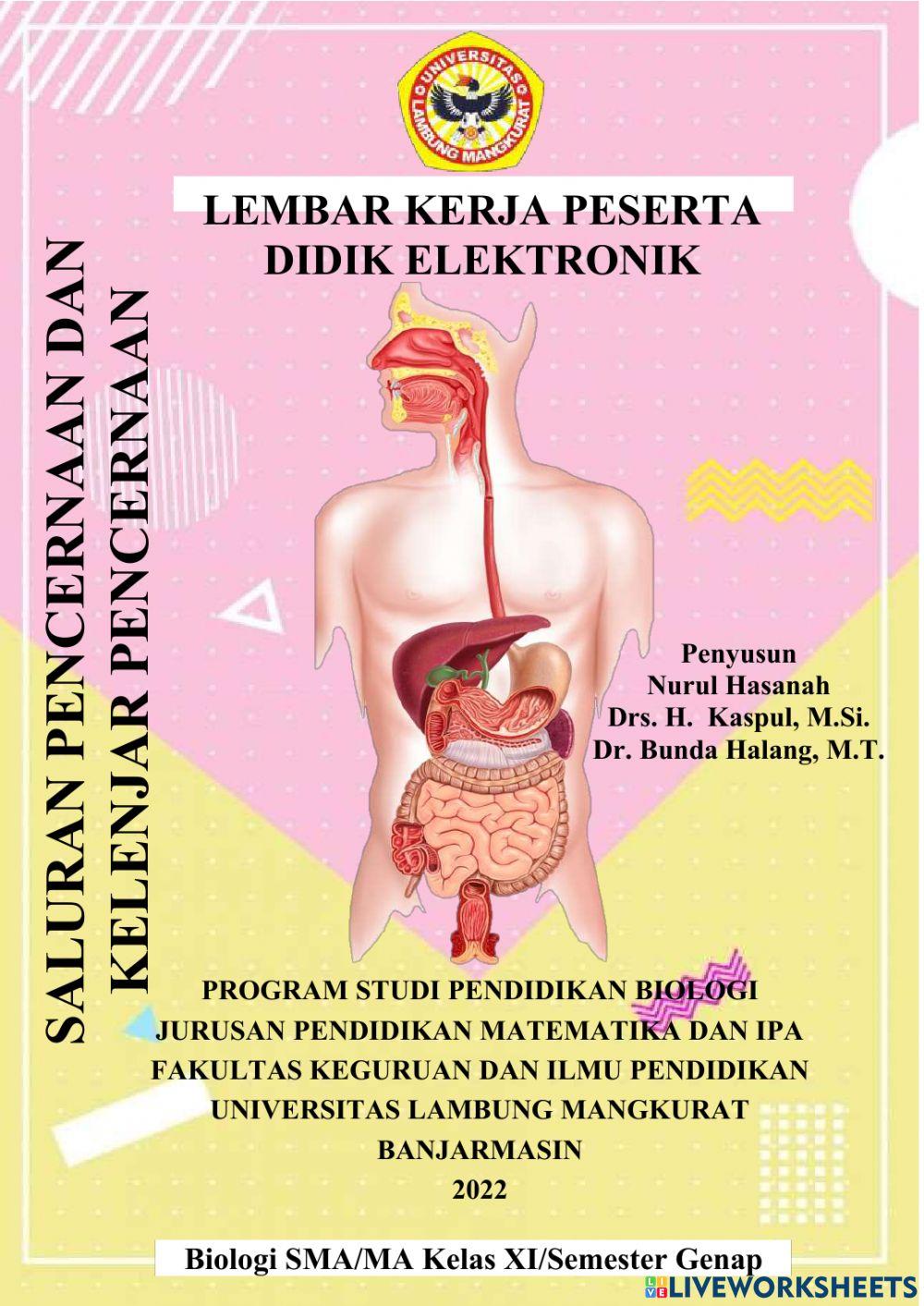 E-lkpd2 sistem pencernaan fix