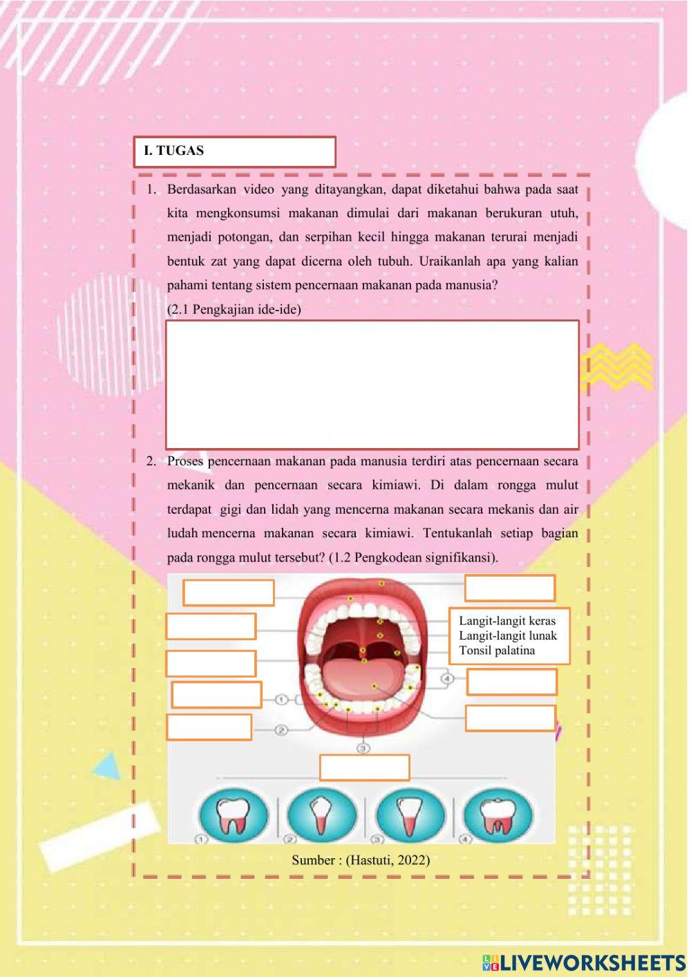 E-lkpd2 sistem pencernaan fix