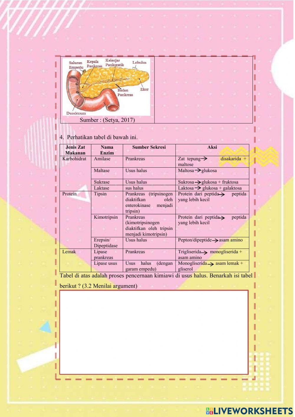E-lkpd2 sistem pencernaan fix