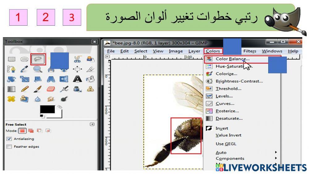 ألوان الصورة