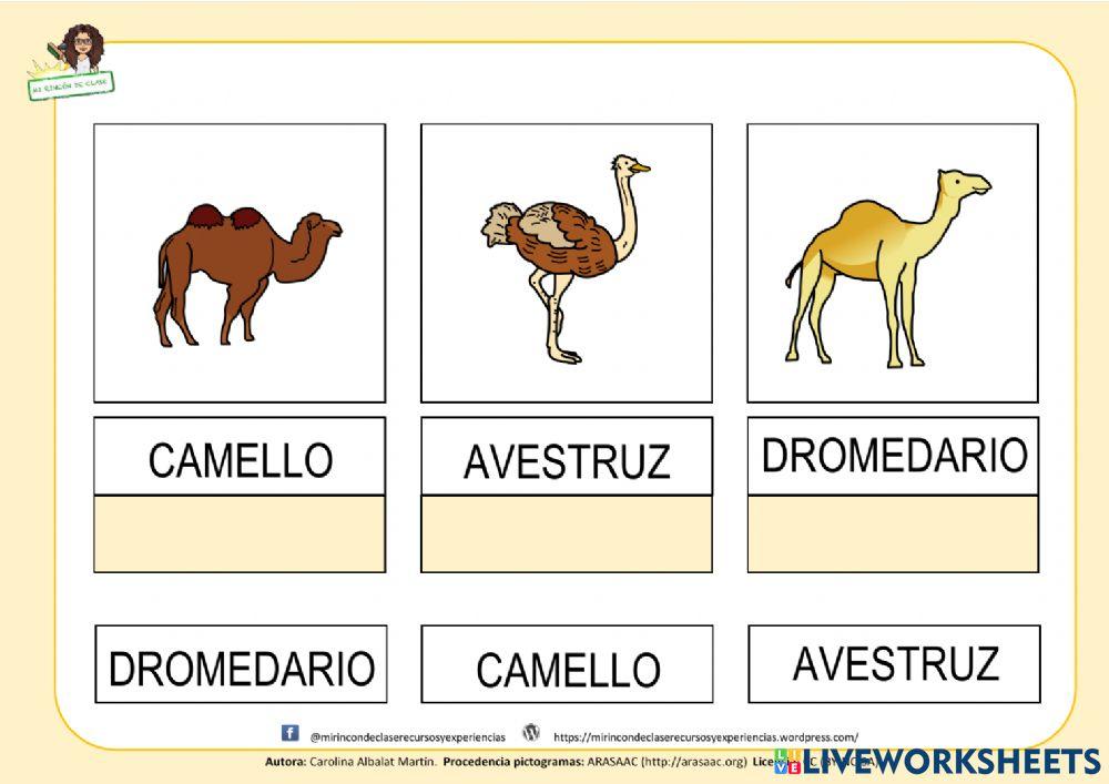 Hábitas: el desierto