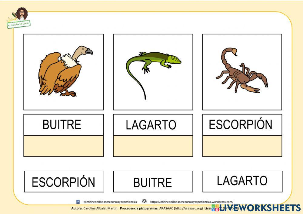 Hábitas: el desierto