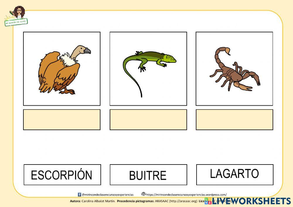 Hábitas: el desierto