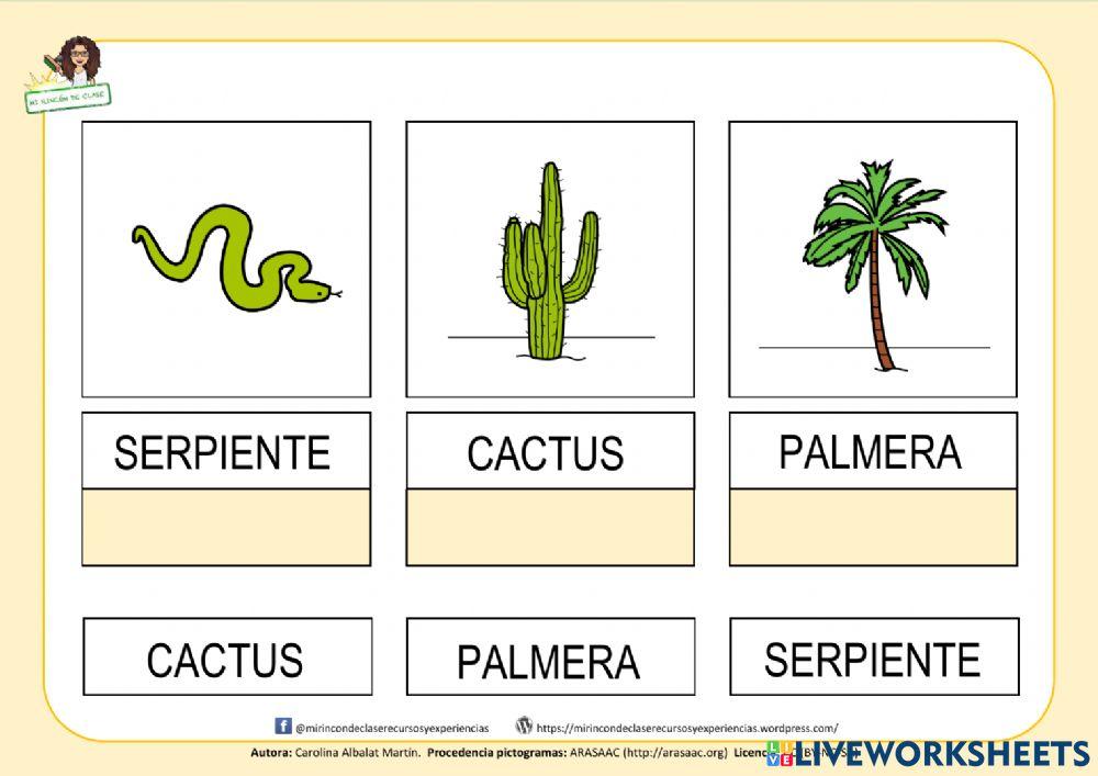 Hábitas: el desierto