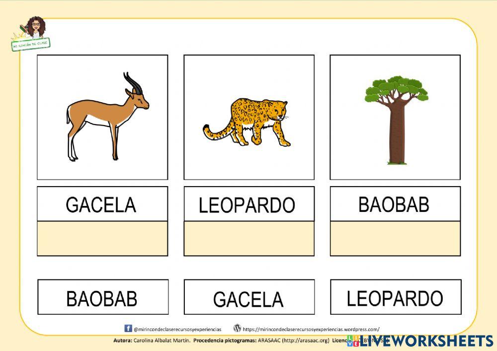 Hábitats: la sabana