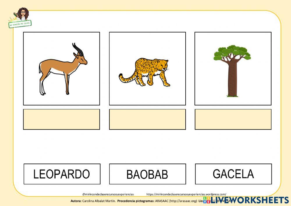 Hábitats: la sabana