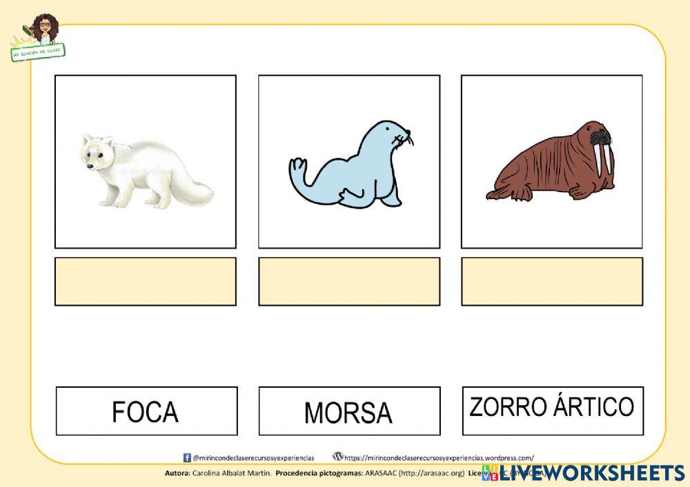 Hábitatas: la región polar