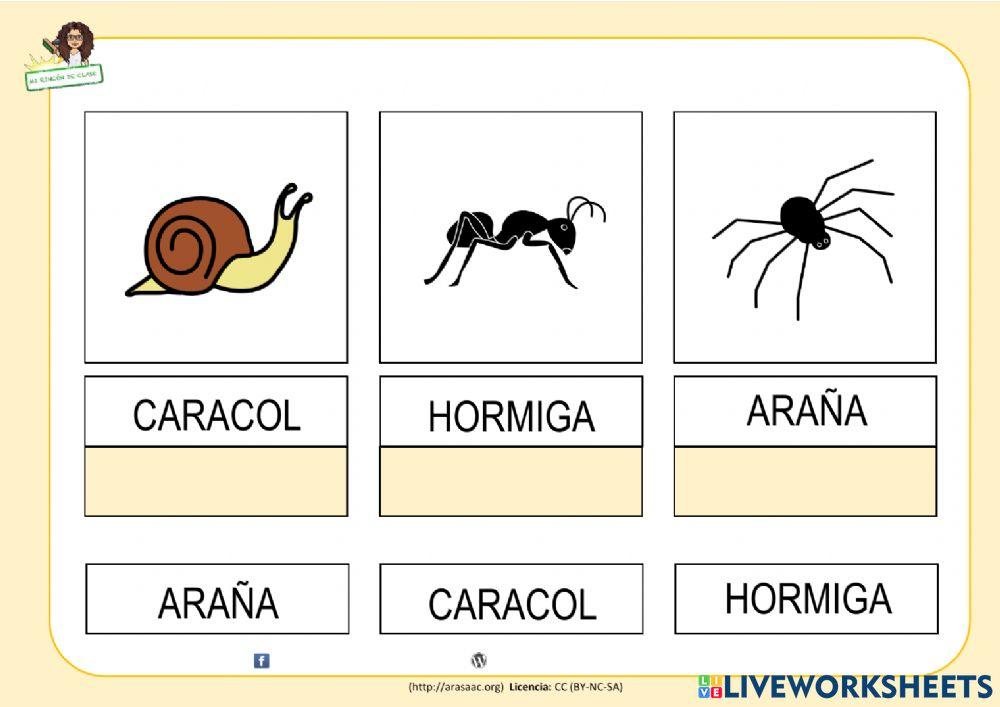 Hábitats: el bosque