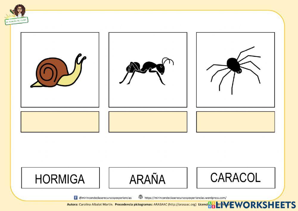 Hábitats: el bosque