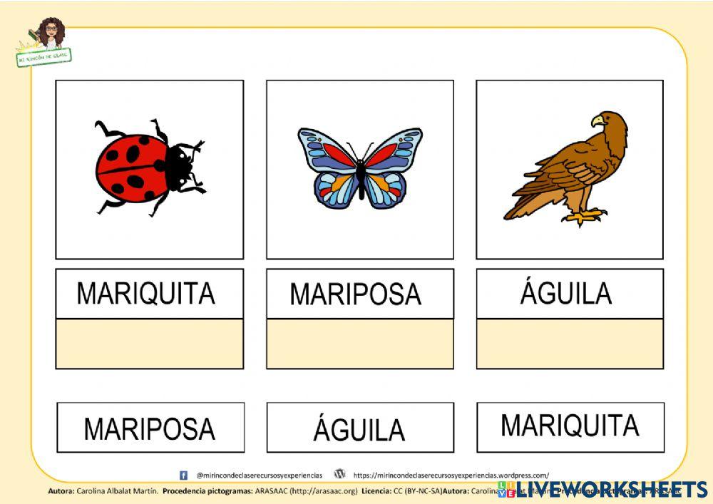 Hábitats: el bosque