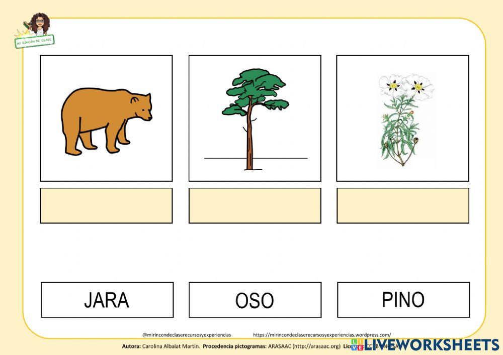 Hábitats: el bosque