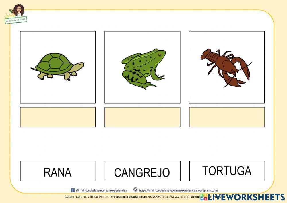 Hábitatas: agua dulce