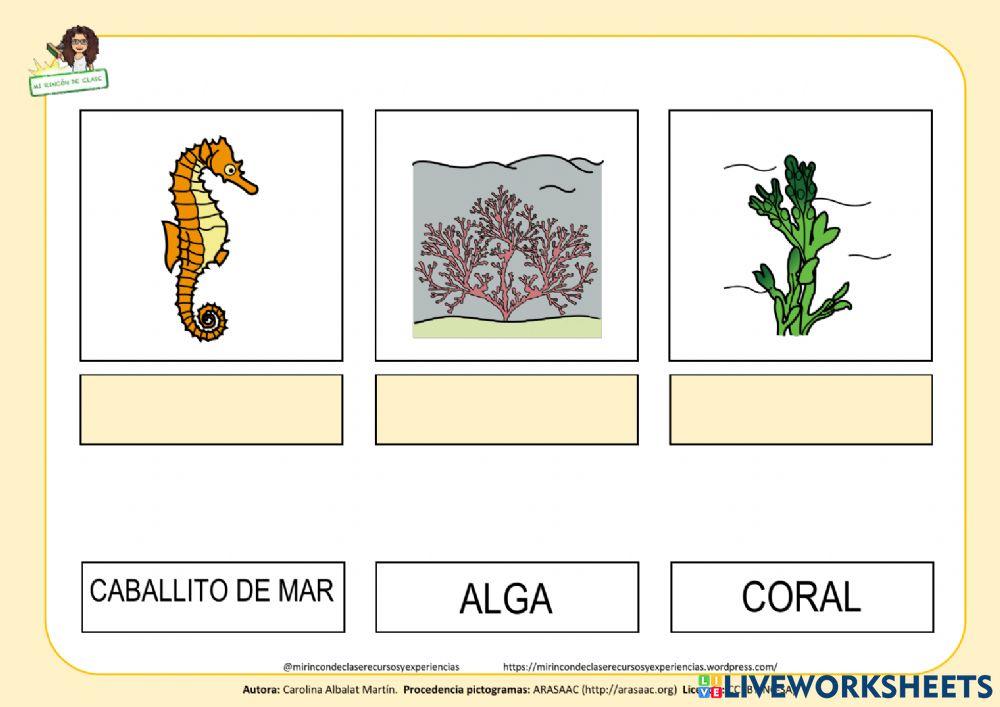 Hábitats: agua salada