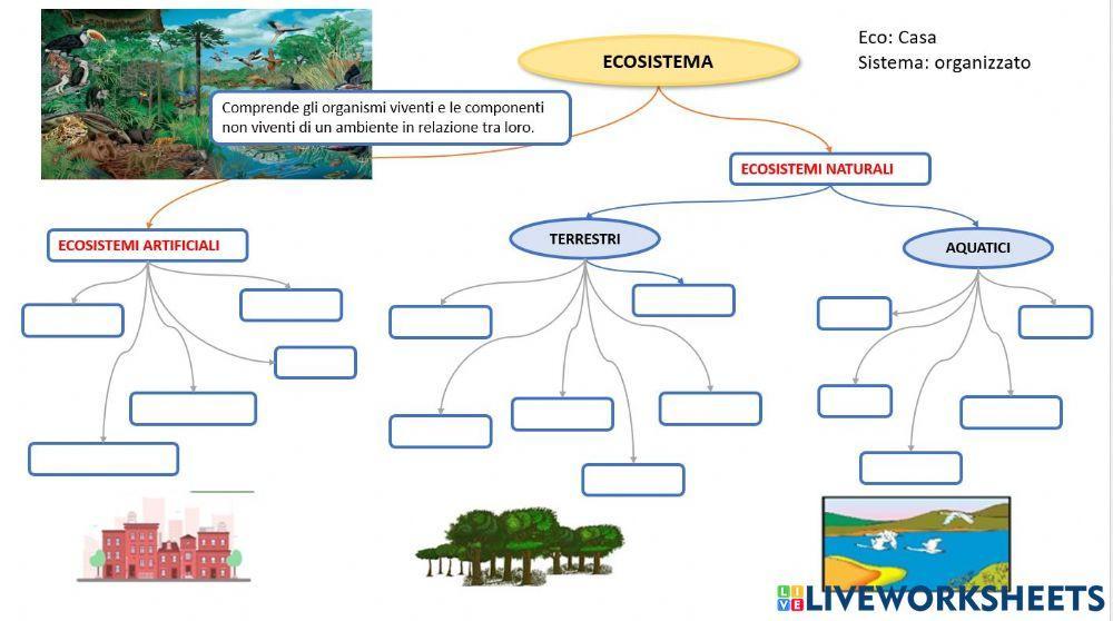 Ecosistemi 2