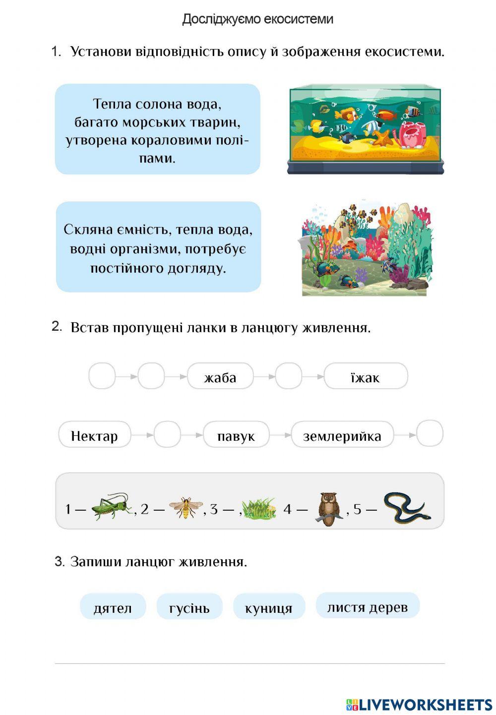 Досліджуємо екосистеми-3 клас-Воронцова-РЗ