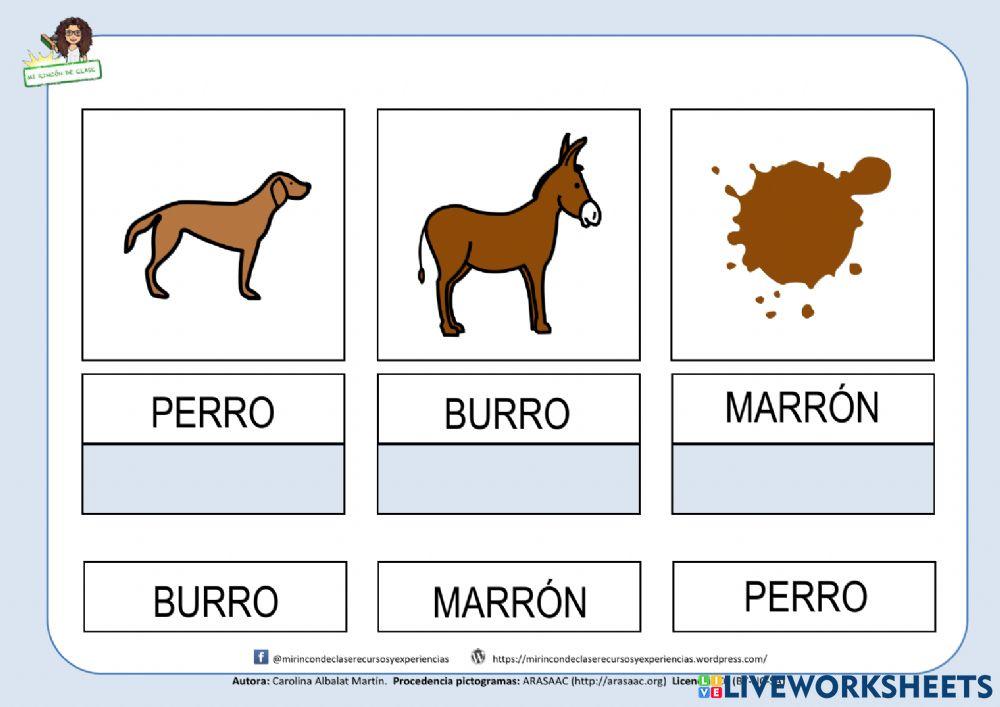 Rr: perro, burro, marrón