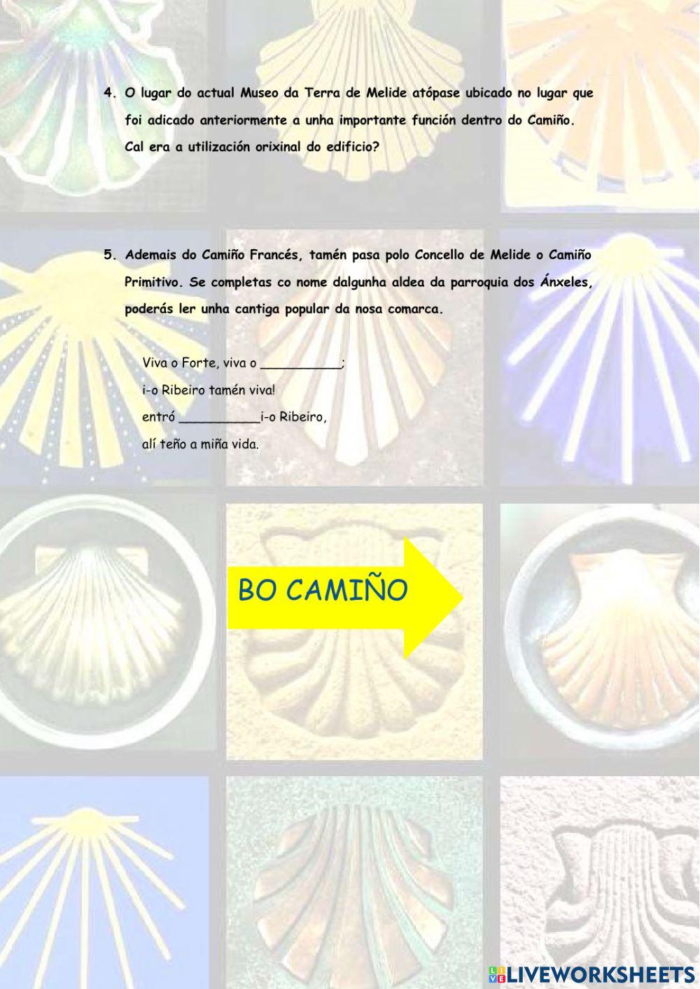 O Camiño de Santiago ao seu paso por Melide