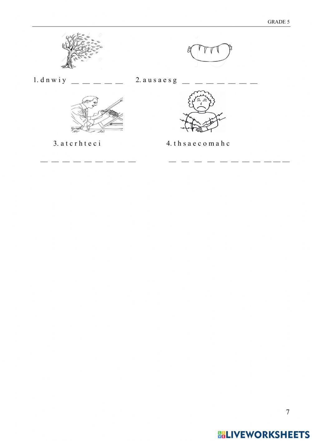 2nd Term Test-Grade 5-2