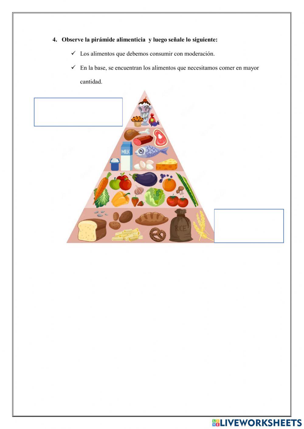 Dieta sana y equilibrada