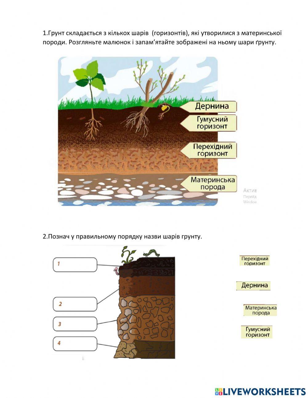 2010090 | Грунти | lubovstr | LiveWorksheets