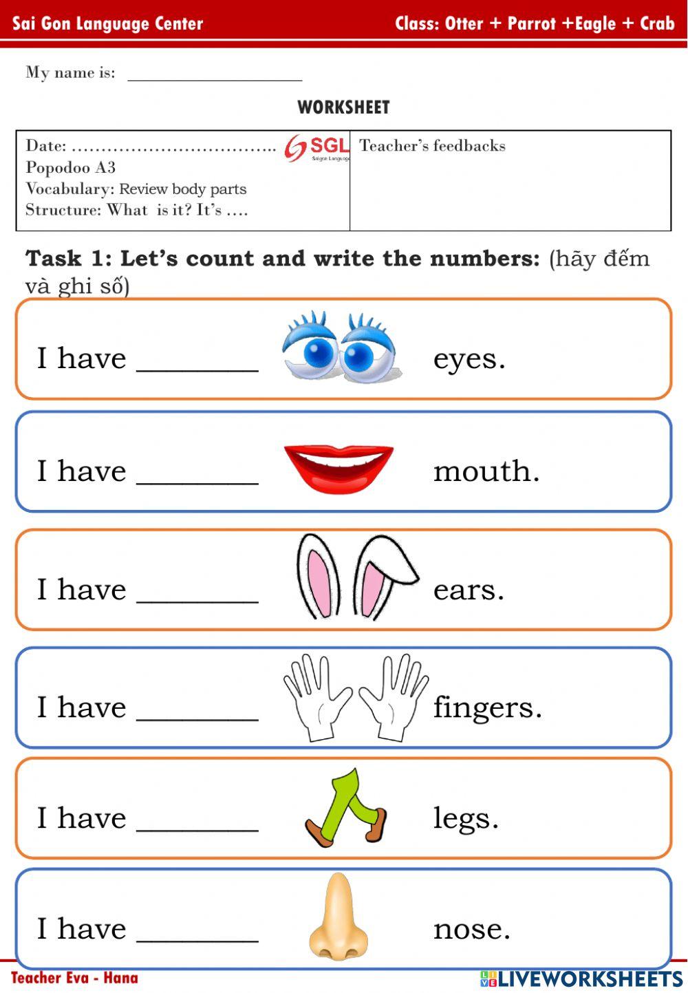 PPD - A3 (Review body parts)