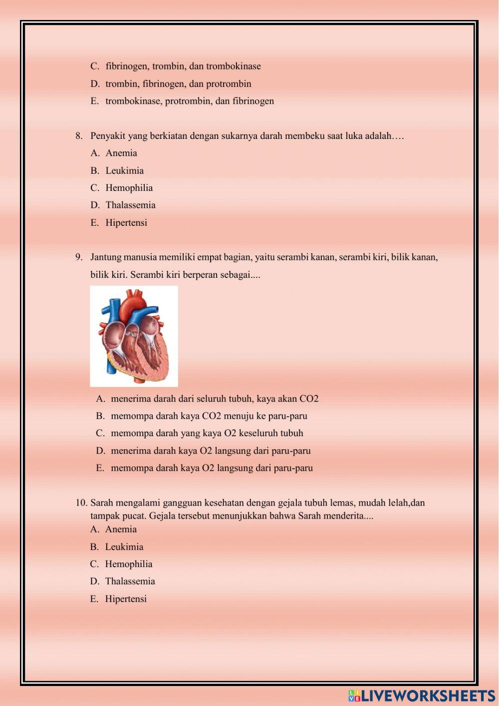 Sistem peredaran darah