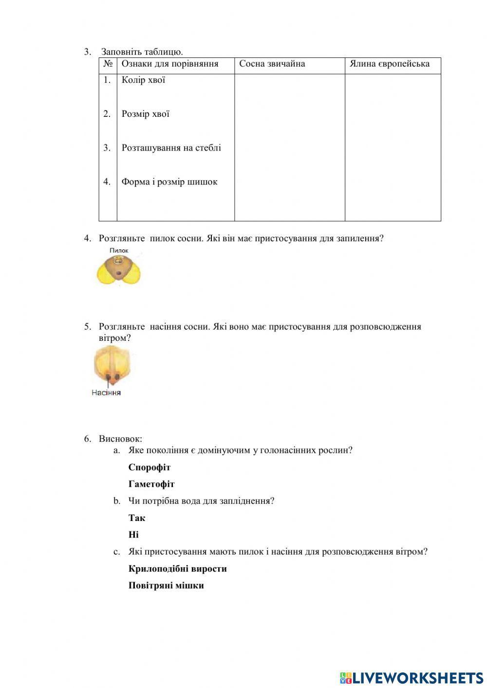 Порівнняння будови хвої і шишок голонасінних