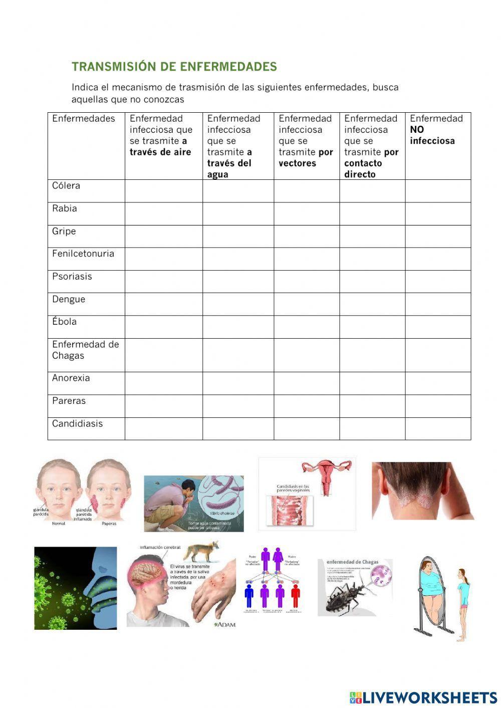 Transmisión enfermedades
