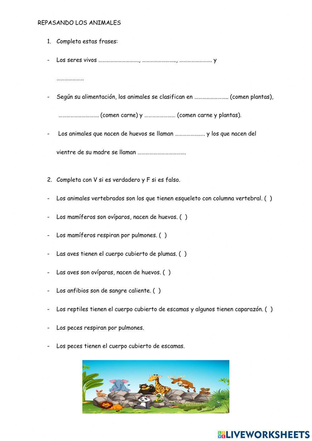 Repasamos los animales