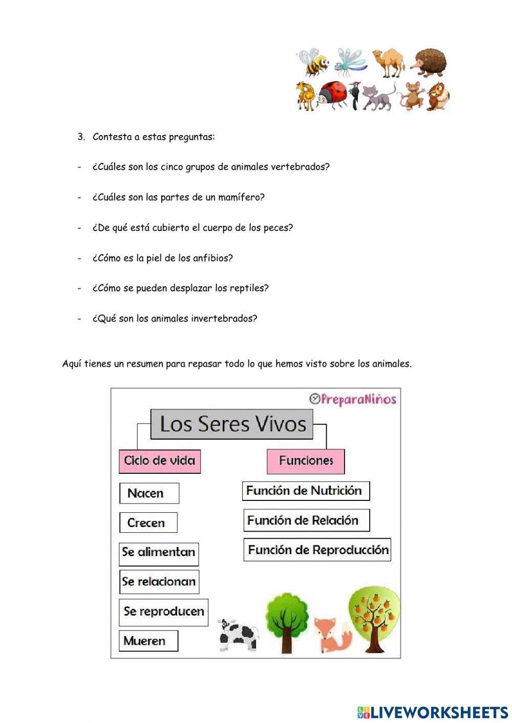 Repasamos los animales