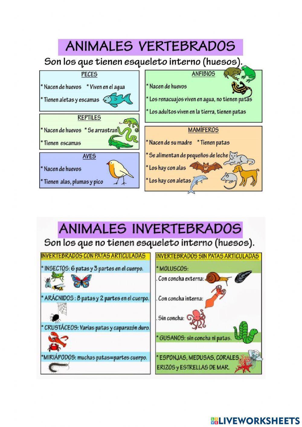 Repasamos los animales