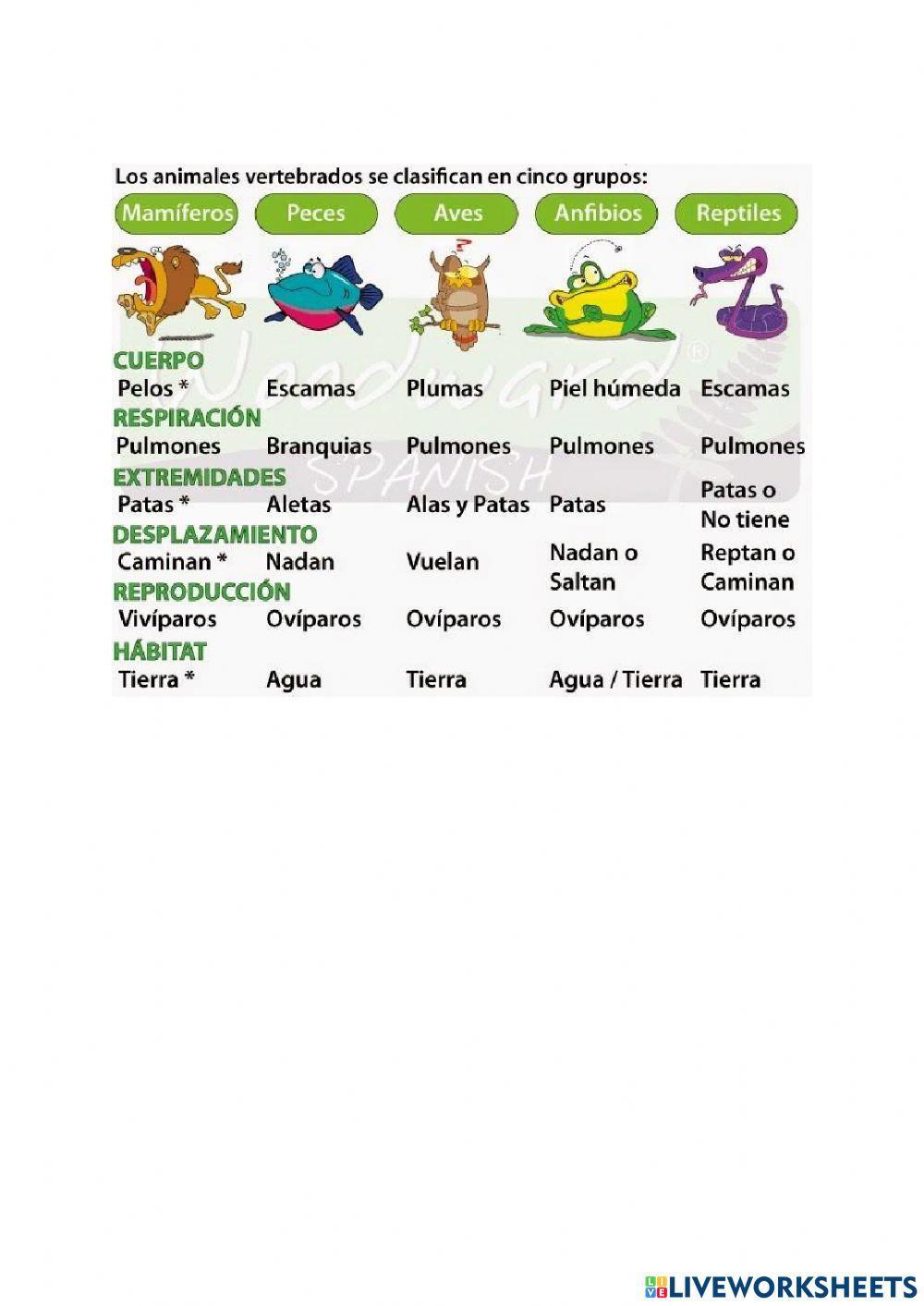 Repasamos los animales