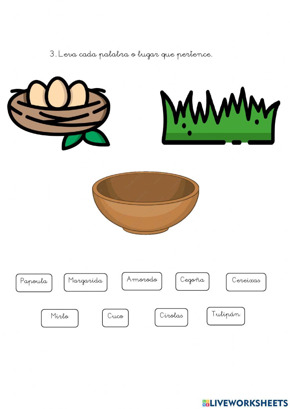 Vocabulario Primavera 2