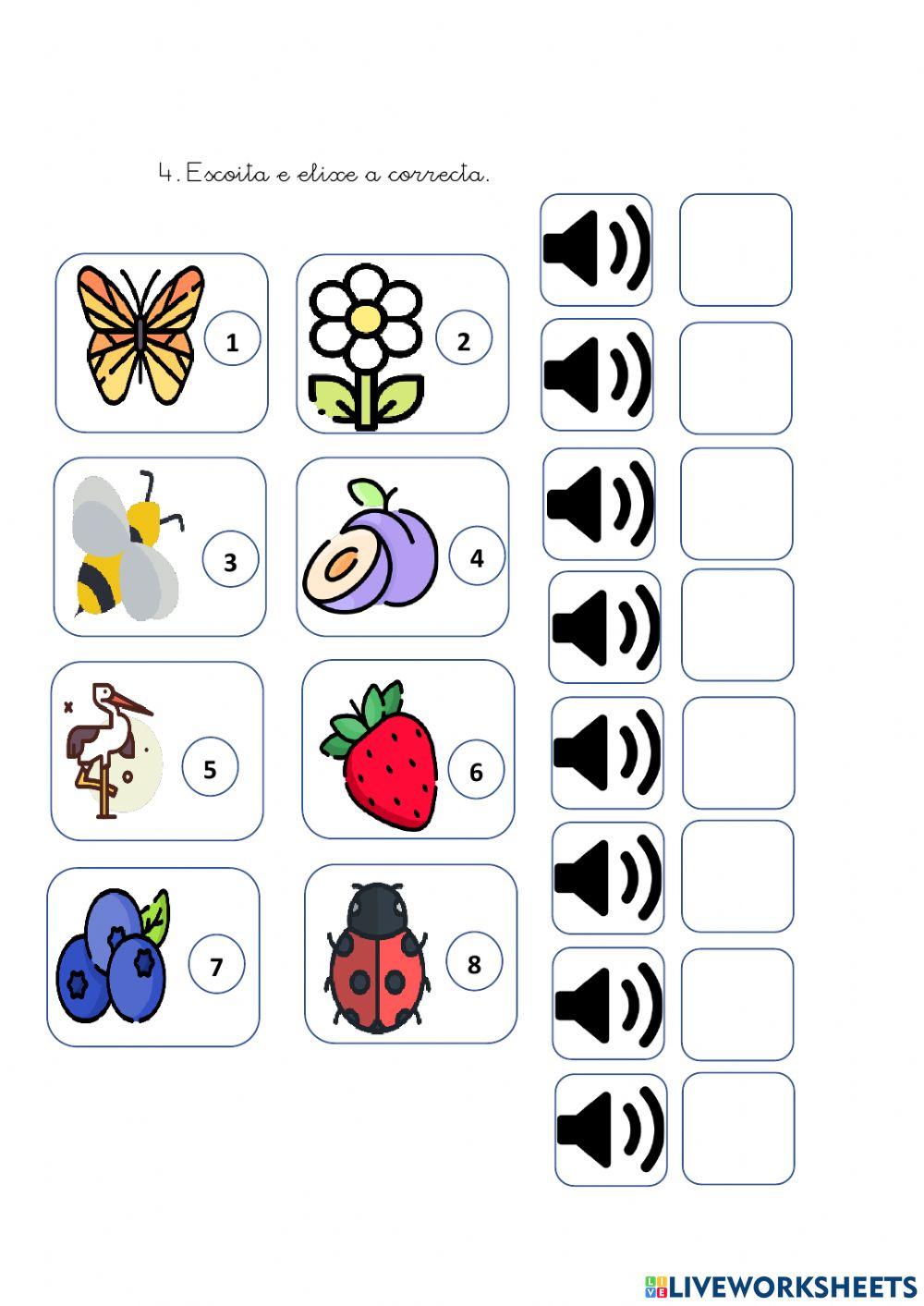 Vocabulario Primavera 2