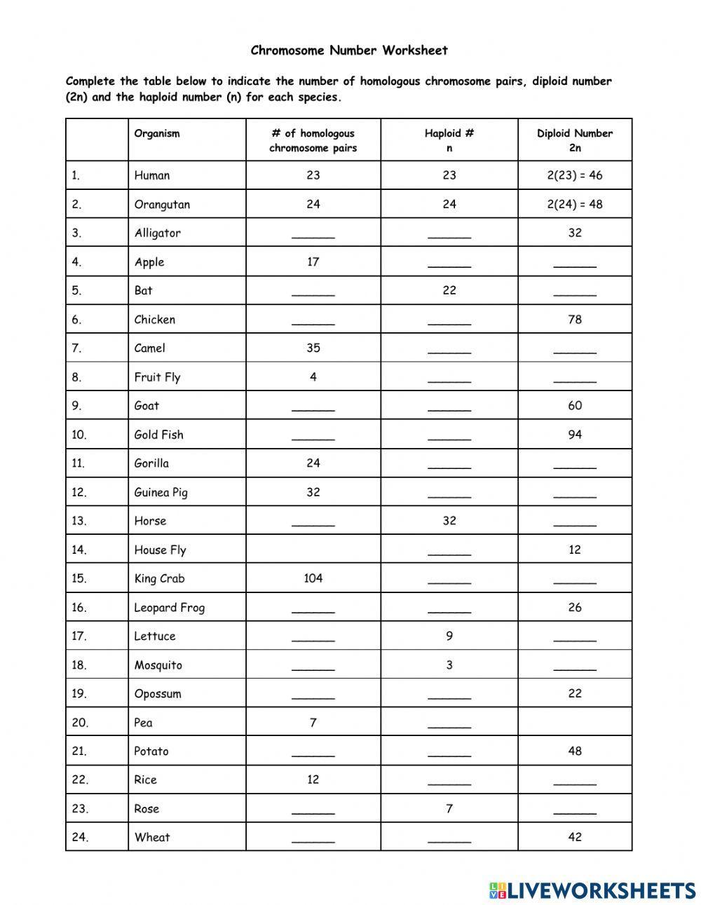 2011305 Chromosome Number Worksheet Reidsmith