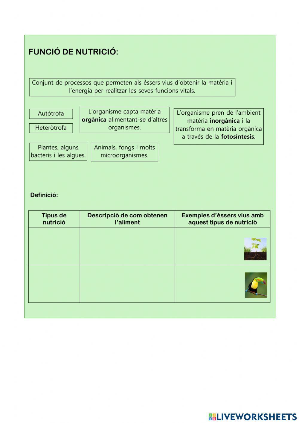 Les funcions vitals dels éssers vius