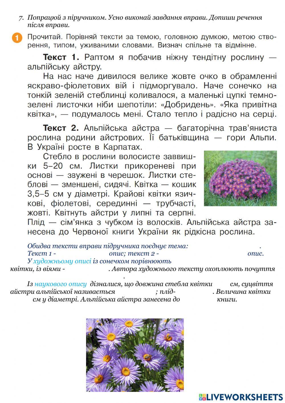 Художній та наукові описи