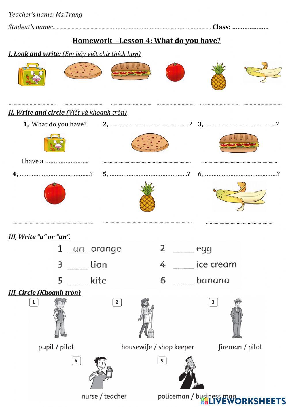 3A-Lesson 4-What do you have?