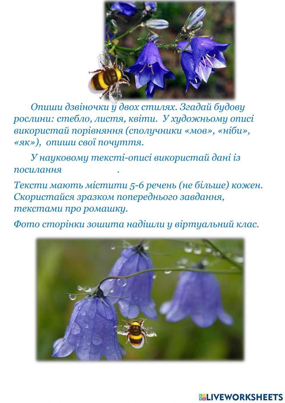 Науковий та художній стилі