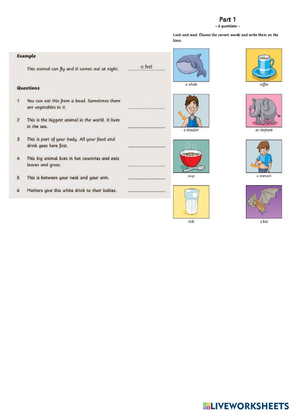 Movers - Reading and Writing Part 1