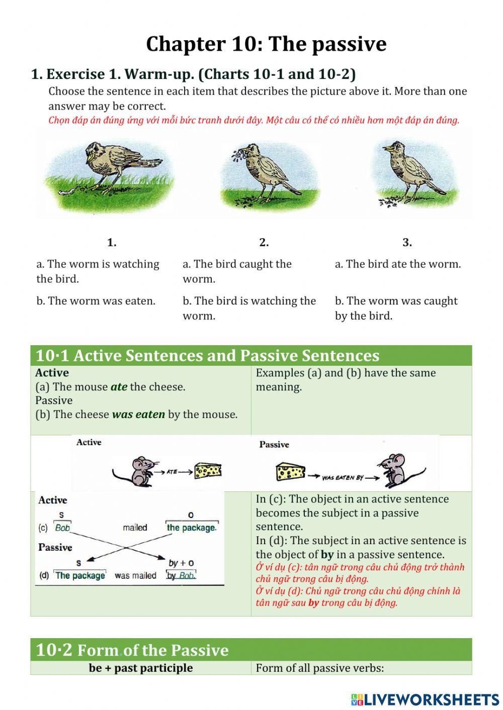 Chapter 10- part 1- fundamentals of english grammar