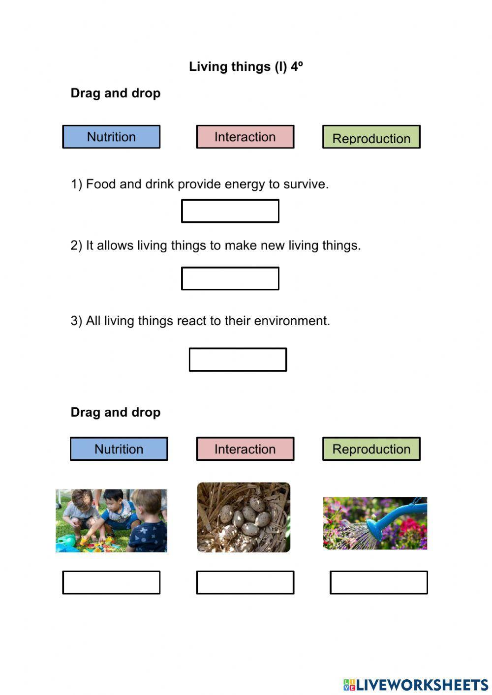 Living things I 4º