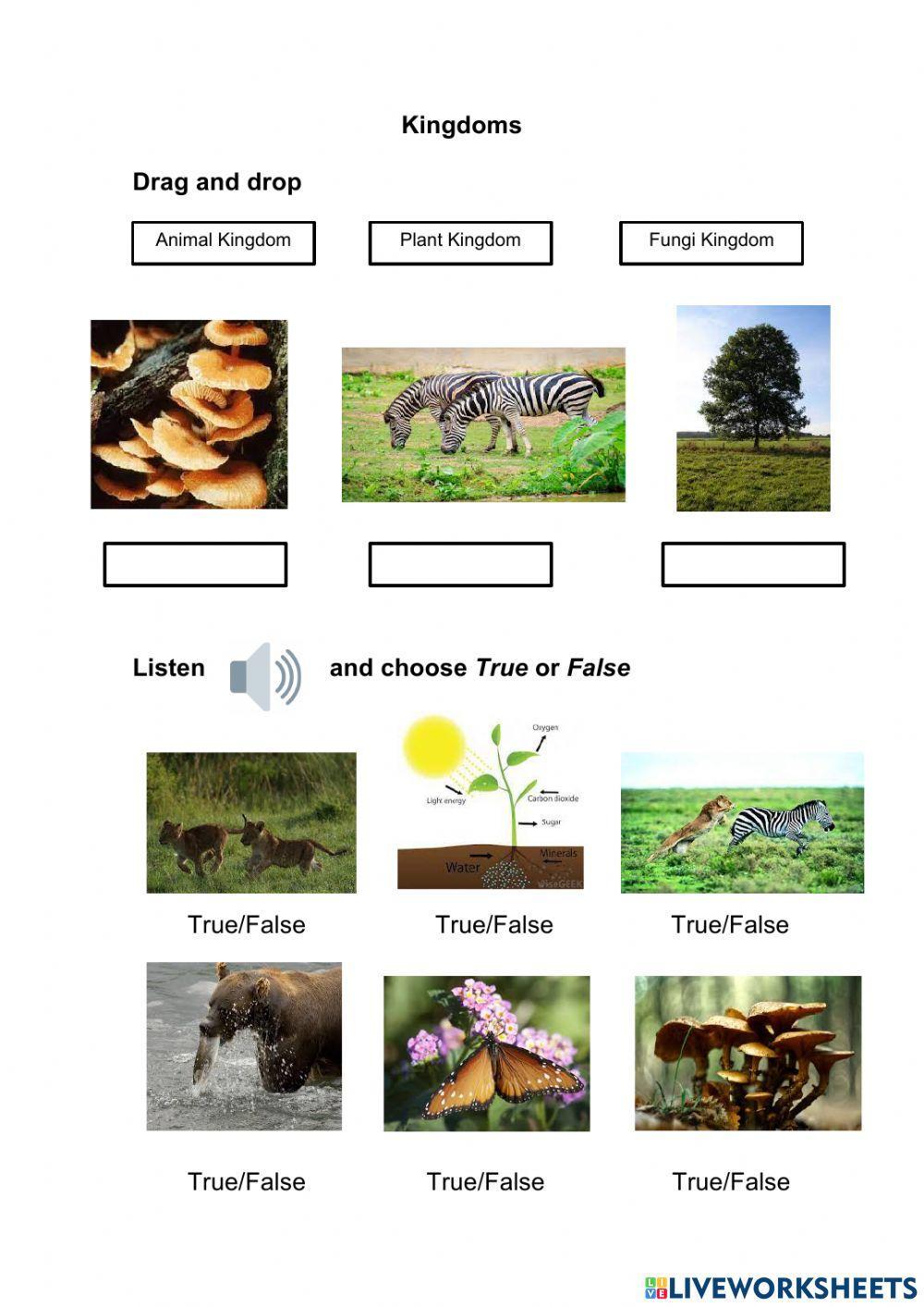 Living things I 4º Living things I 4º