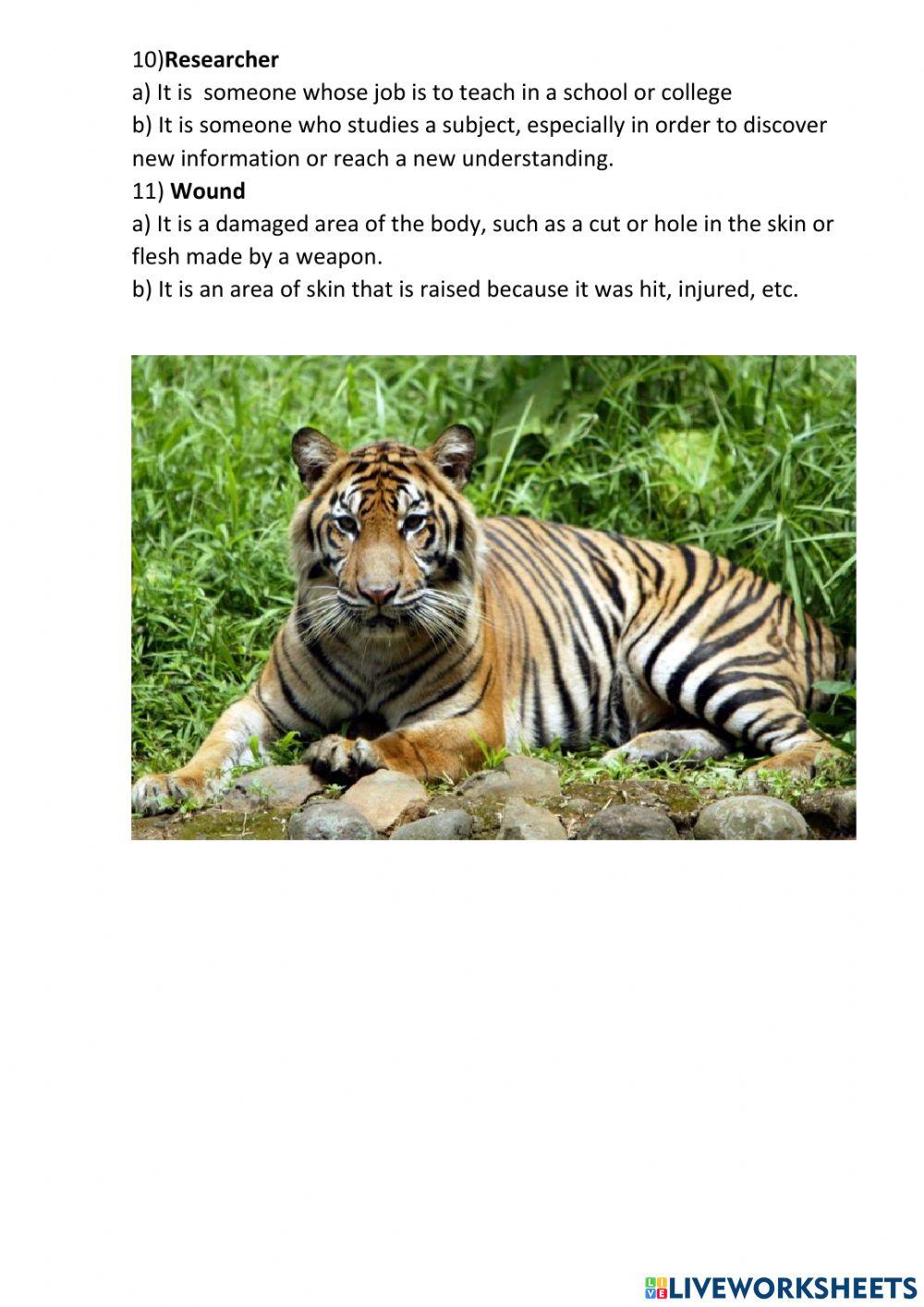 Tarzan, the jungle girl