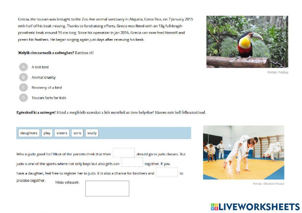 Angol nyelvi kompetenciamérés